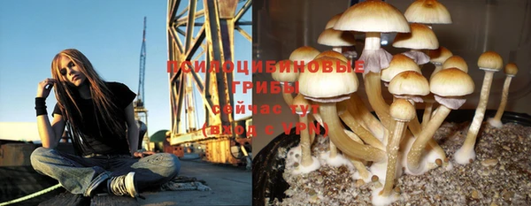 дмт Алексеевка