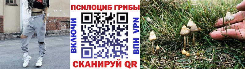 Псилоцибиновые грибы Psilocybine cubensis Подольск