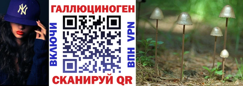 Купить где  Подольск  Галлюциногенные грибы Psilocybine cubensis 
